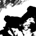Pencil Sketch 006
